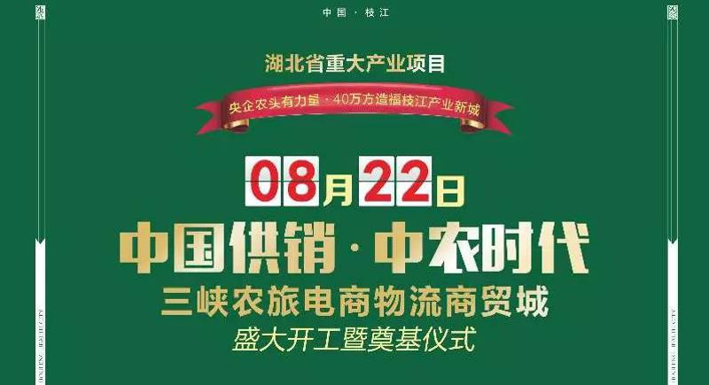 枝江物流公司的动态观察:产业变革与转型升级